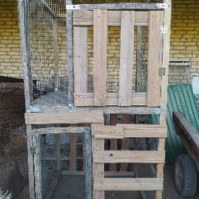 КЕТЕК БАЙСОВСКИЦ