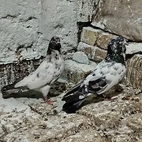 kepderi