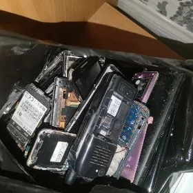 Zapcas tel