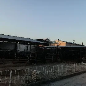 Arenda saher ici ýatak