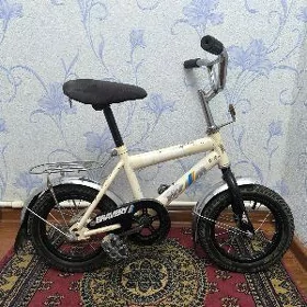 tigir