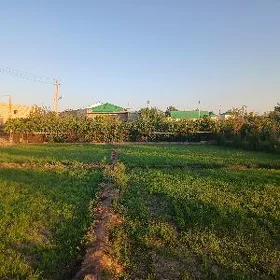 Айрапорт дача.