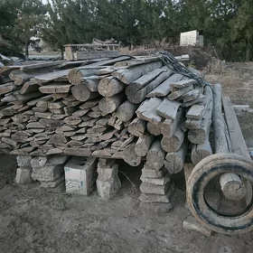 agaç nawlaram bar