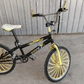 20lik tigir