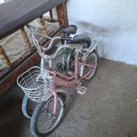 çaga tigir