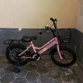 Çaga tigir