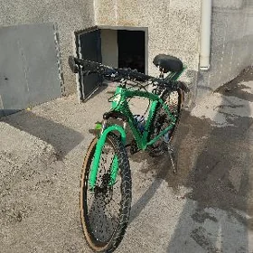 Türkmenistan tigir