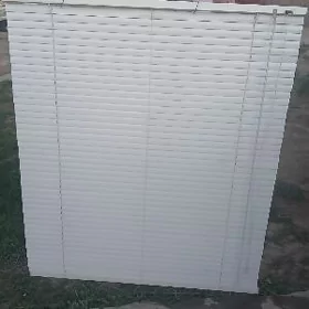Žalyuz