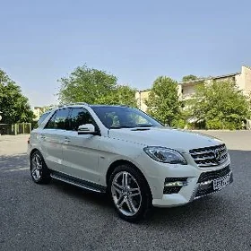 Mercedes-Benz 400E 2015