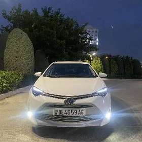 Toyota Corolla 2019