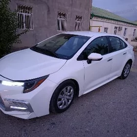 Toyota Corolla 2020