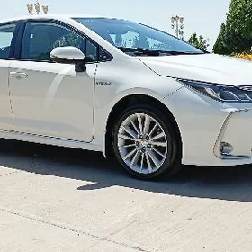 Toyota Corolla 2021