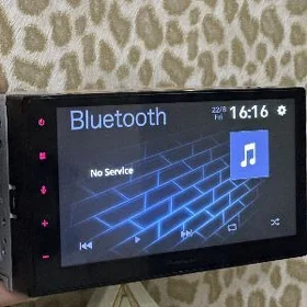 Pioneer 4450_2024MODEL!!