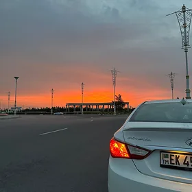taksi woditel şofýor