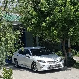 Toyota Camry 2019