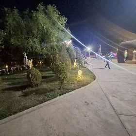 Офицанты.