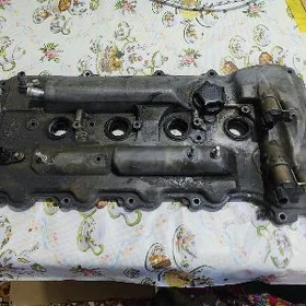Okuz kele matoryn kryşka
