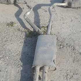 gulsiter