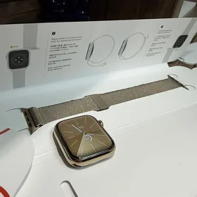 Apple Watch S7/45 Stainless