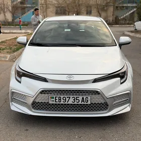 Toyota Corolla 2025