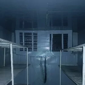 toy haladilnik