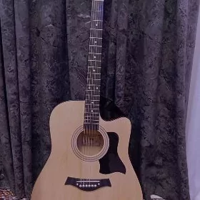 Akustik Gitara