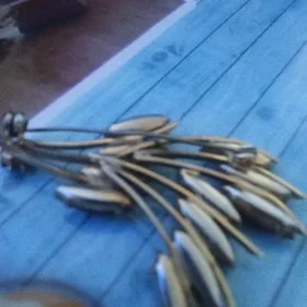 Kümüş brosga