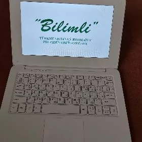 Bilimli kampyuter