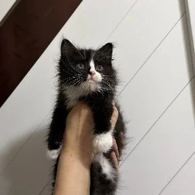мальчик 1.5 месяцев