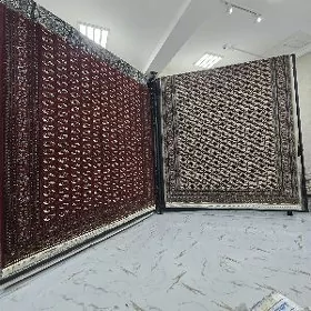 Oguzhan Haly 1ýyl Garaşygna