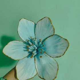 gül elde yasalan
