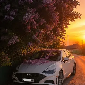 Hyundai Sonata 2021