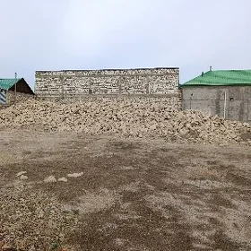 JANGADA ÖRUM USSA GEREK