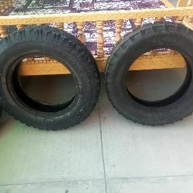 teker 53 zil 52