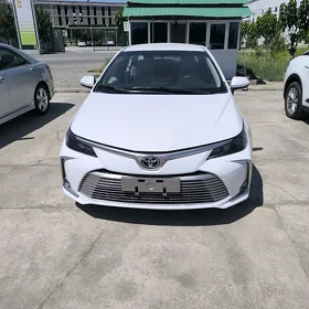 Toyota Corolla 2021