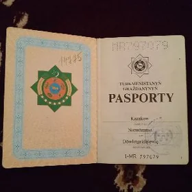 Passport yitdi