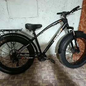 tigir