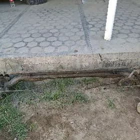 balka