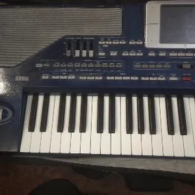 Korg pa 800