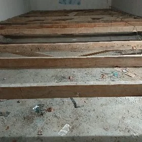 strapila