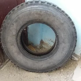 pakryshka