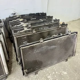 Okuz kelle, Lexus Radiator