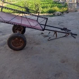 eşek araba