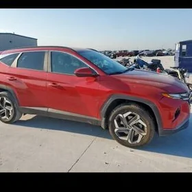 KIA HYUNDAI MORDA
