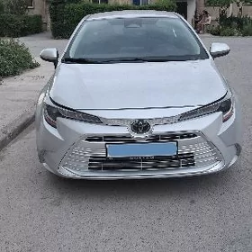Toyota Corolla 2024