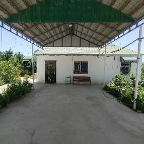SATLYK DAÇA