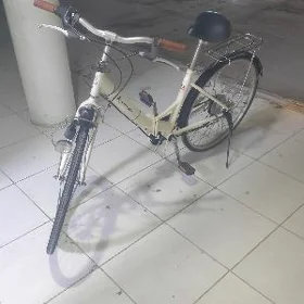 tigir Ýapoşga welik