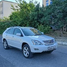 Lexus RX 330 2004