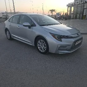 Toyota Corolla 2021