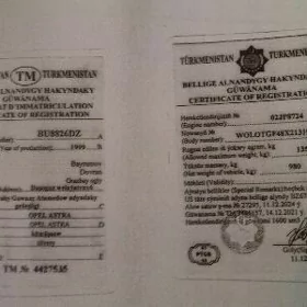 TEX PASPORT YITDI GUBADAGDA